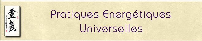 Pratiques Enregétiques Universelles Tours Reiki